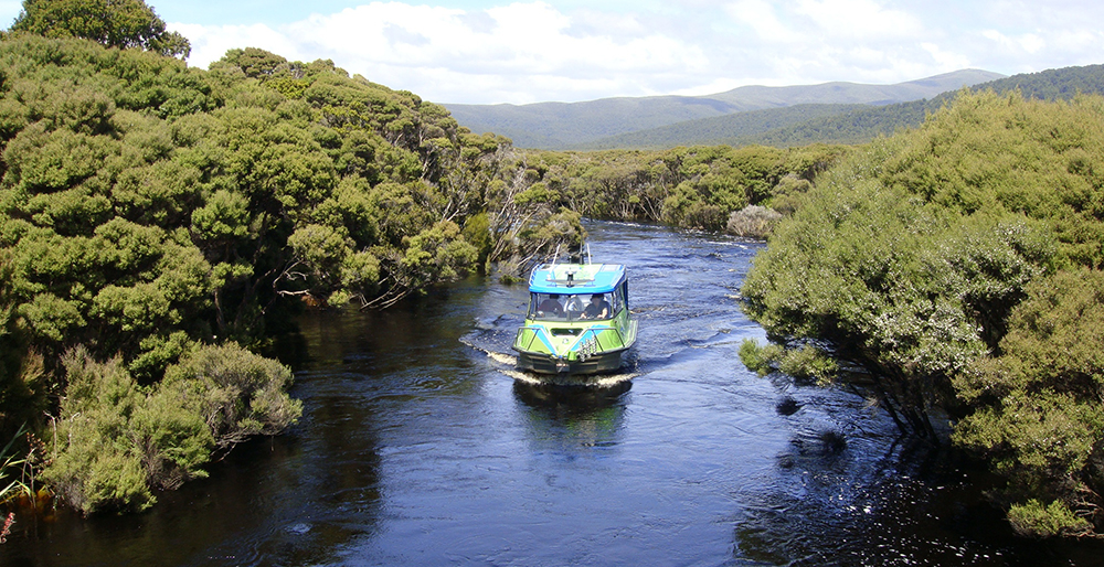 Aihe Eco Charters & Water Taxi on Freshwater River